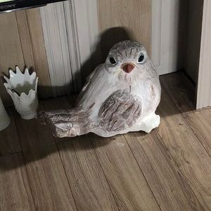 Meet your Posher, Lynn